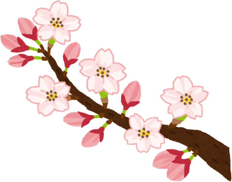 Illustration of Somei Yoshino Cherry Blossoms in Bloom